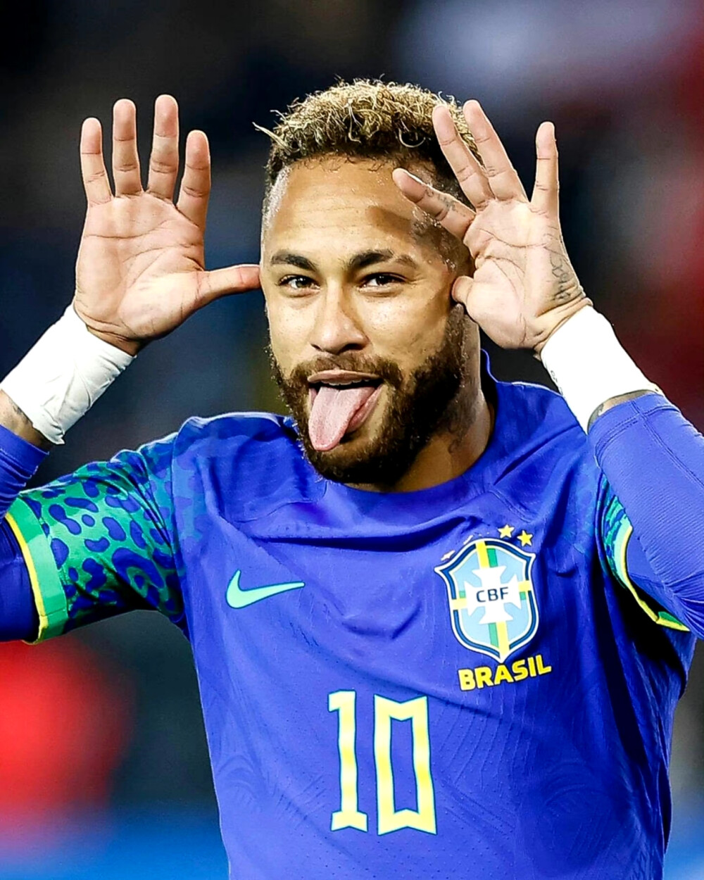 会密切配合 会密切配合